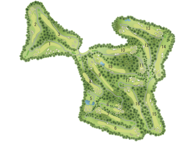 image-Overview