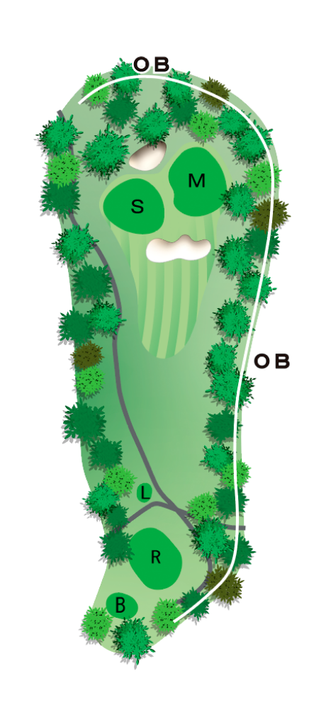 Hole 11