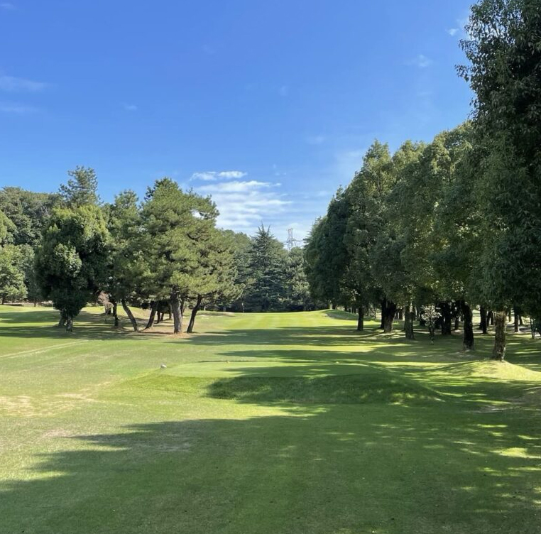 HOLE 08