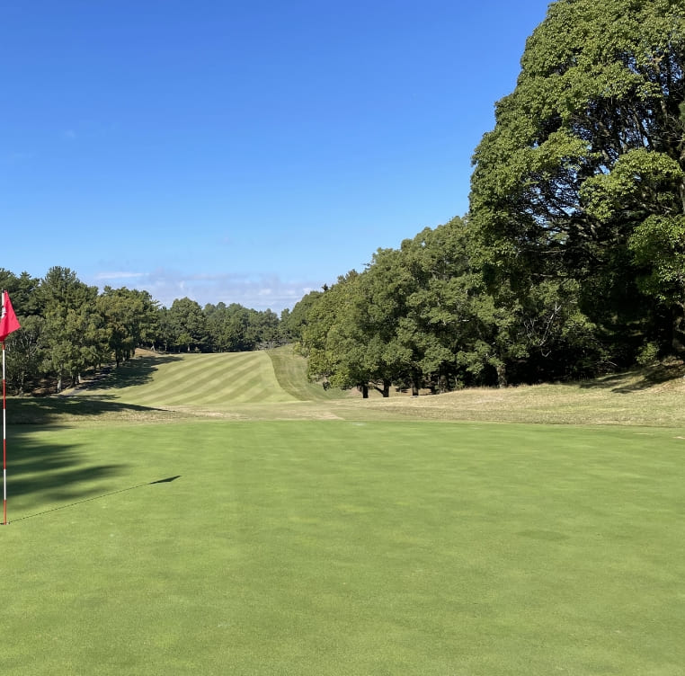 HOLE 15