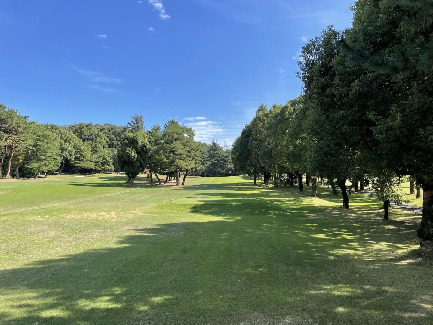 Golf Course